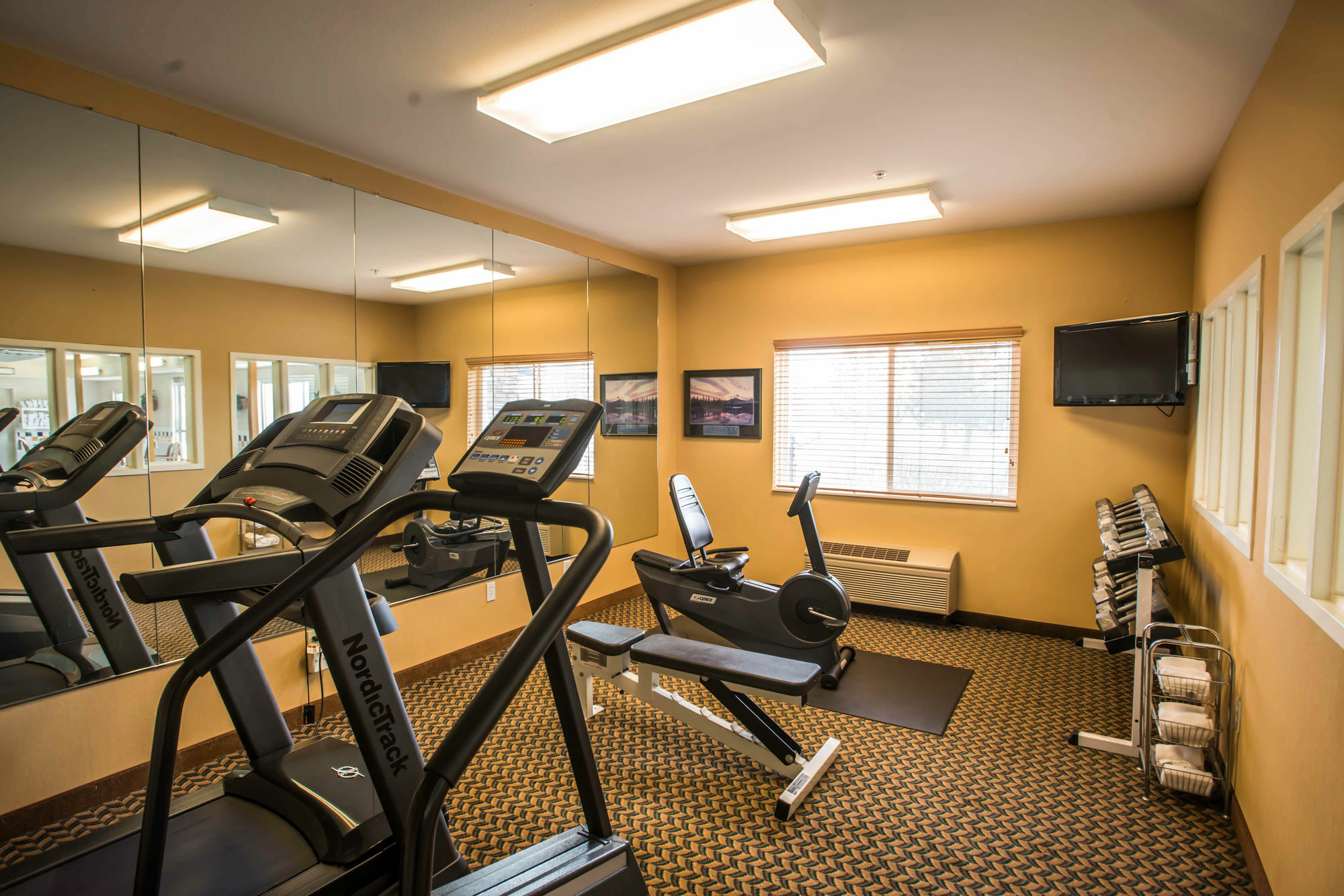 Comfort Inn Fort Collins North Ngoại thất bức ảnh